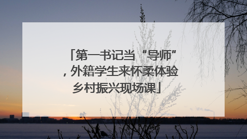 第一书记当“导师”，外籍学生来怀柔体验乡村振兴现场课