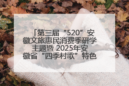 第三届“520”安徽文旅惠民消费季研学主题暨 2025年安徽省“四季村歌”特色展演燃动池州