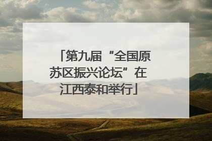 第九届“全国原苏区振兴论坛”在江西泰和举行