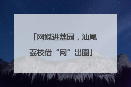 网媒进荔园，汕尾荔枝借“网”出圈