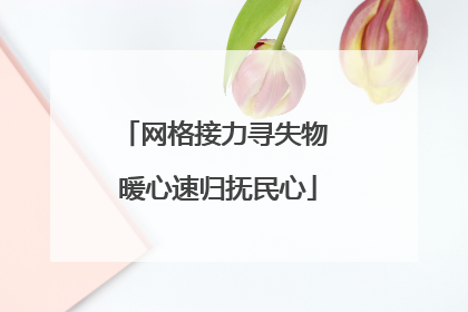 网格接力寻失物 暖心速归抚民心