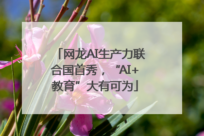网龙AI生产力联合国首秀，“AI+教育”大有可为