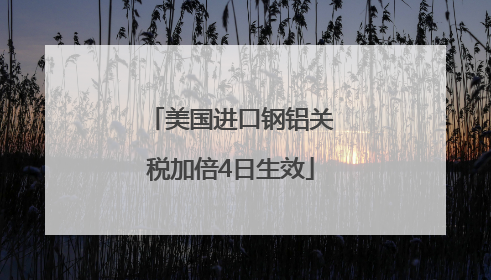 美国进口钢铝关税加倍4日生效