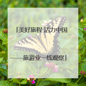 美好旅程 活力中国——旅游业一线观察