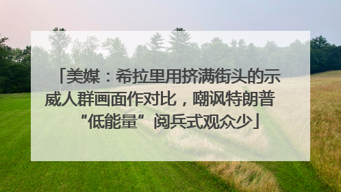 美媒：希拉里用挤满街头的示威人群画面作对比，嘲讽特朗普“低能量”阅兵式观众少