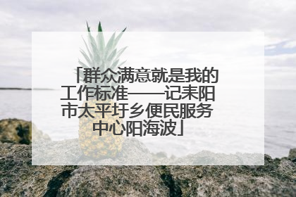 群众满意就是我的工作标准——记耒阳市太平圩乡便民服务中心阳海波