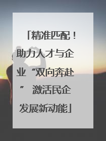 精准匹配！助力人才与企业“双向奔赴” 激活民企发展新动能
