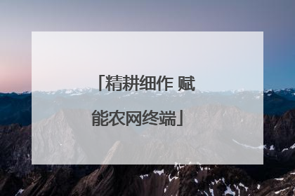 精耕细作 赋能农网终端