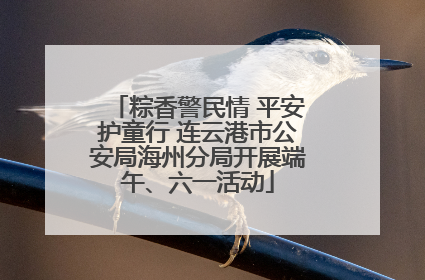 粽香警民情 平安护童行 连云港市公安局海州分局开展端午、六一活动