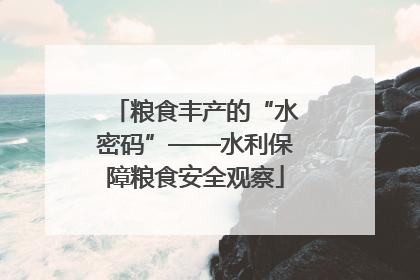 粮食丰产的“水密码”——水利保障粮食安全观察