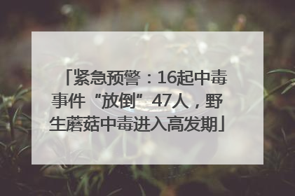 紧急预警：16起中毒事件“放倒”47人，野生蘑菇中毒进入高发期
