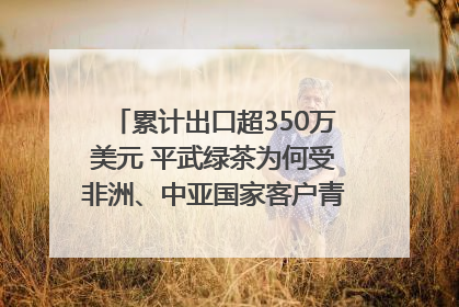 累计出口超350万美元 平武绿茶为何受非洲、中亚国家客户青睐？｜发布会观察