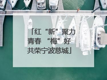 红“新”聚力青春 “梅”好共荣宁波慈城