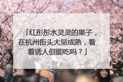 红彤彤水灵灵的果子，在杭州街头大量成熟，看着诱人但能吃吗？