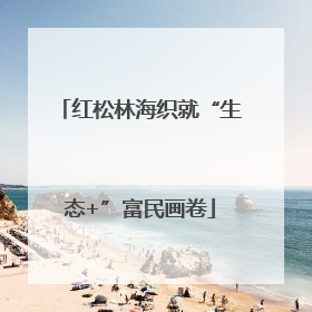 红松林海织就“生态+”富民画卷