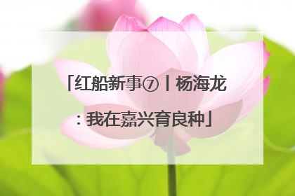 红船新事⑦丨杨海龙：我在嘉兴育良种