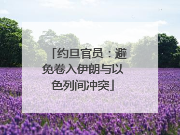 约旦官员：避免卷入伊朗与以色列间冲突