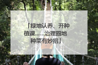 绿地认养、开种植课……治理圈地种菜有妙招