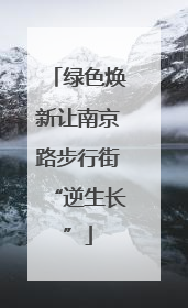绿色焕新让南京路步行街“逆生长”