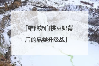 维他奶白桃豆奶背后的品类升级战