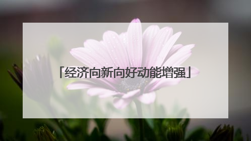 经济向新向好动能增强