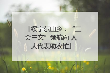 绥宁东山乡：“三会三文”领航向 人大代表助农忙