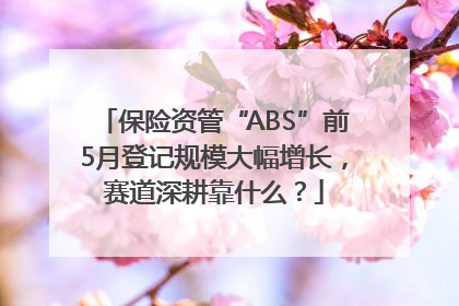 保险资管“ABS”前5月登记规模大幅增长，赛道深耕靠什么？