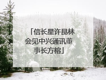 信长星许昆林会见中兴通讯董事长方榕