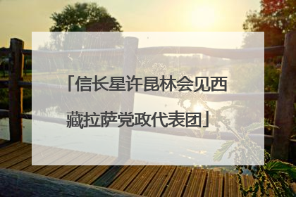 信长星许昆林会见西藏拉萨党政代表团