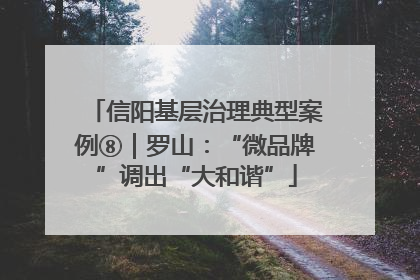 信阳基层治理典型案例⑧｜罗山：“微品牌”调出“大和谐”