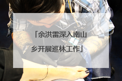 余洪雷深入南山乡开展巡林工作