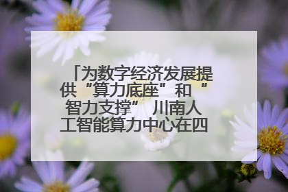 为数字经济发展提供“算力底座”和“智力支撑” 川南人工智能算力中心在四川泸州启动