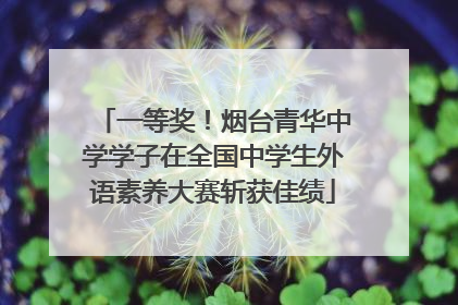 一等奖！烟台青华中学学子在全国中学生外语素养大赛斩获佳绩