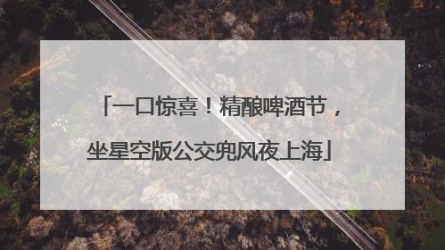 一口惊喜！精酿啤酒节，坐星空版公交兜风夜上海