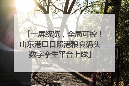 一屏统览，全局可控！山东港口日照港粮食码头数字孪生平台上线