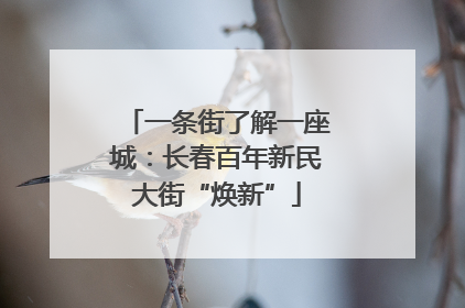 一条街了解一座城：长春百年新民大街“焕新”