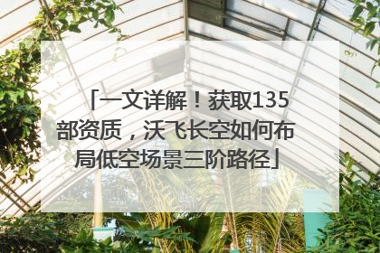 一文详解！获取135部资质，沃飞长空如何布局低空场景三阶路径