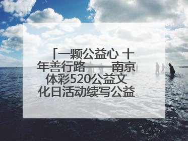 一颗公益心 十年善行路——南京体彩520公益文化日活动续写公益新篇章