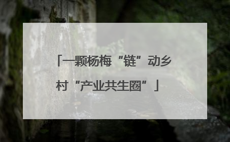 一颗杨梅“链”动乡村“产业共生圈”