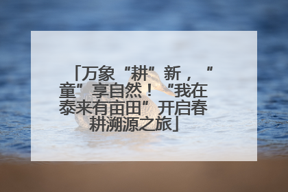 万象“耕”新，“童”享自然！“我在泰来有亩田”开启春耕溯源之旅