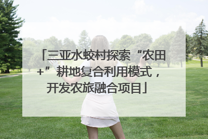 三亚水蛟村探索“农田+”耕地复合利用模式，开发农旅融合项目