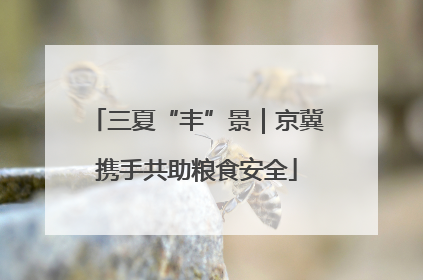 三夏“丰”景｜京冀携手共助粮食安全