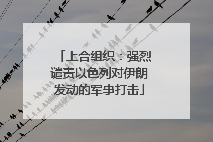 上合组织：强烈谴责以色列对伊朗发动的军事打击