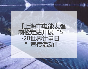 上海市电能表强制检定站开展“5·20世界计量日”宣传活动