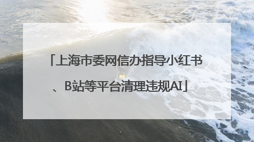 上海市委网信办指导小红书、B站等平台清理违规AI