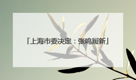 上海市委决定：张鸣履新
