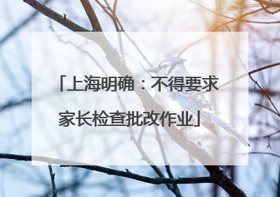 上海明确：不得要求家长检查批改作业
