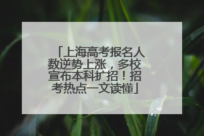上海高考报名人数逆势上涨，多校宣布本科扩招！招考热点一文读懂
