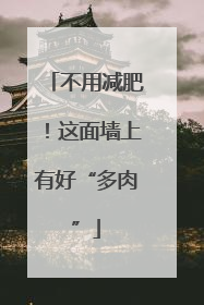 不用减肥！这面墙上有好“多肉”