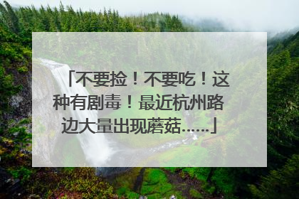 不要捡！不要吃！这种有剧毒！最近杭州路边大量出现蘑菇……
